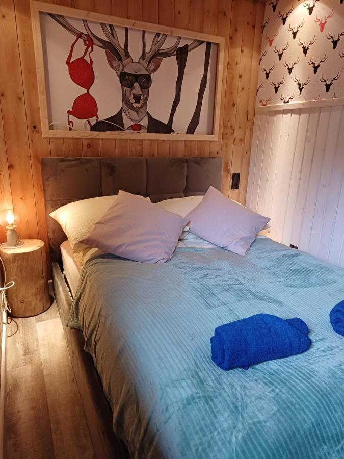Izba W Centrum Miasta Zakopane Kamer foto